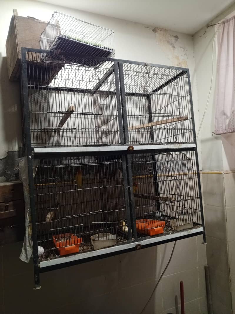 cages 0