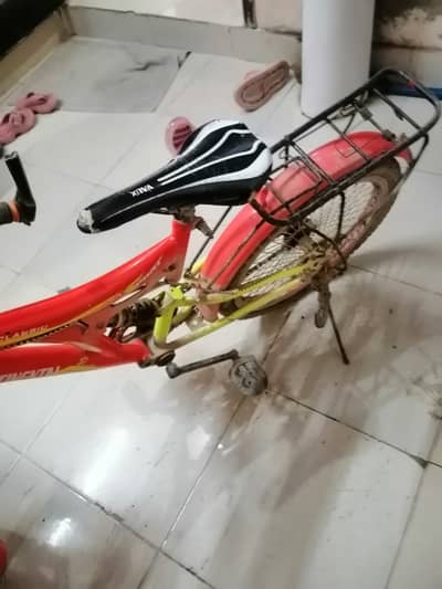 Continental bicycle