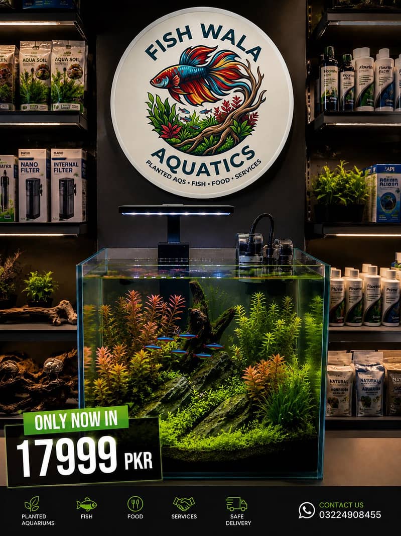 Custom aquarium 0