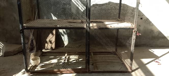 cage for sell whatapps 03464506600