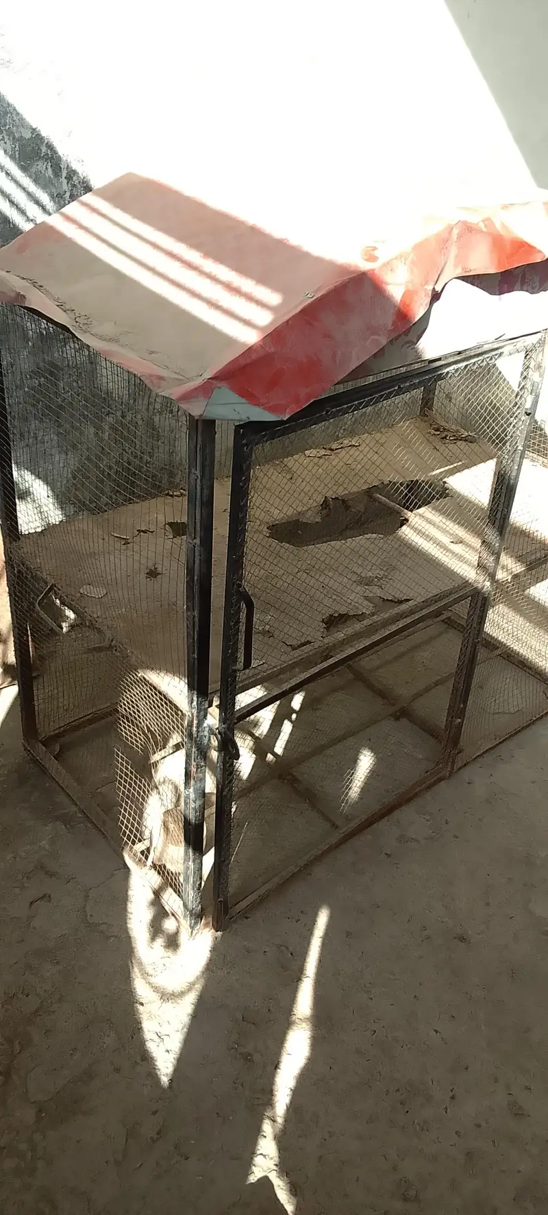 cage for sell whatapps 03464506600 — photo 5