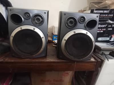 Pioneer original Bass- Reflex