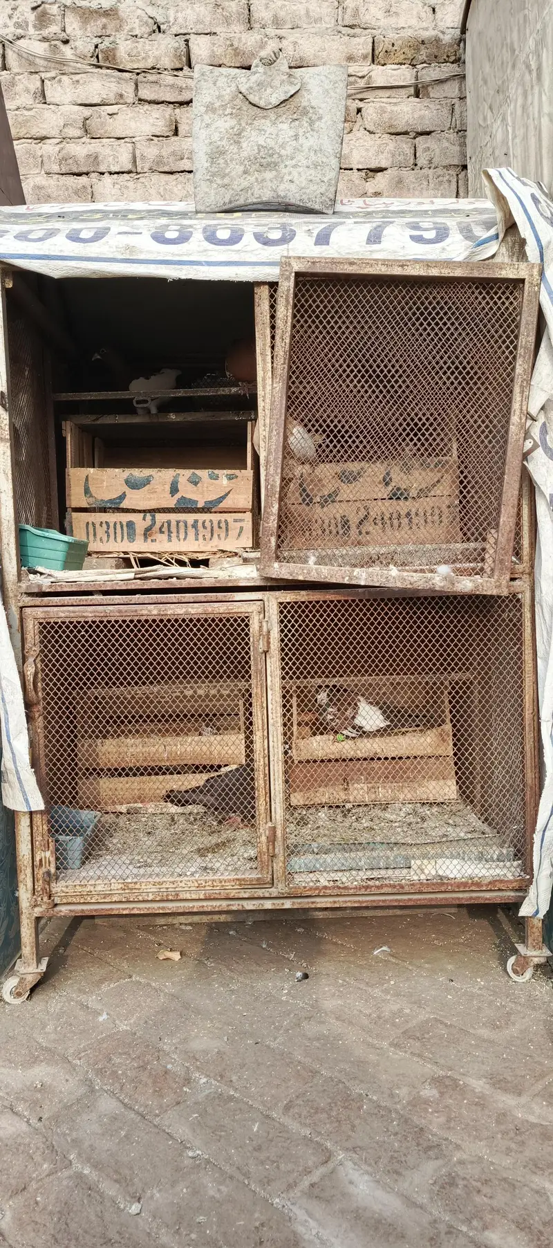 Double portion iron cage — photo 2