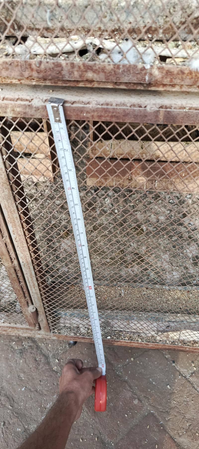 Double portion iron cage 2