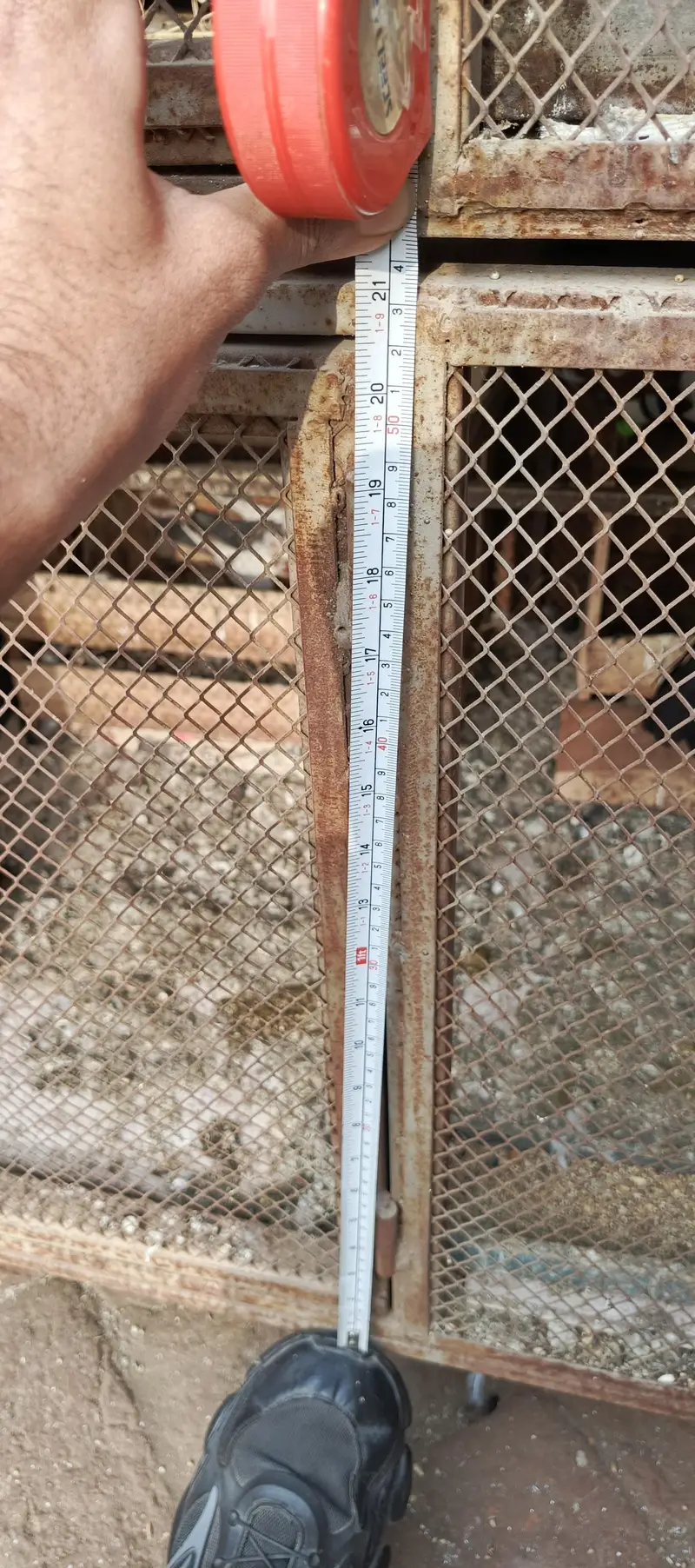 Double portion iron cage — photo 4