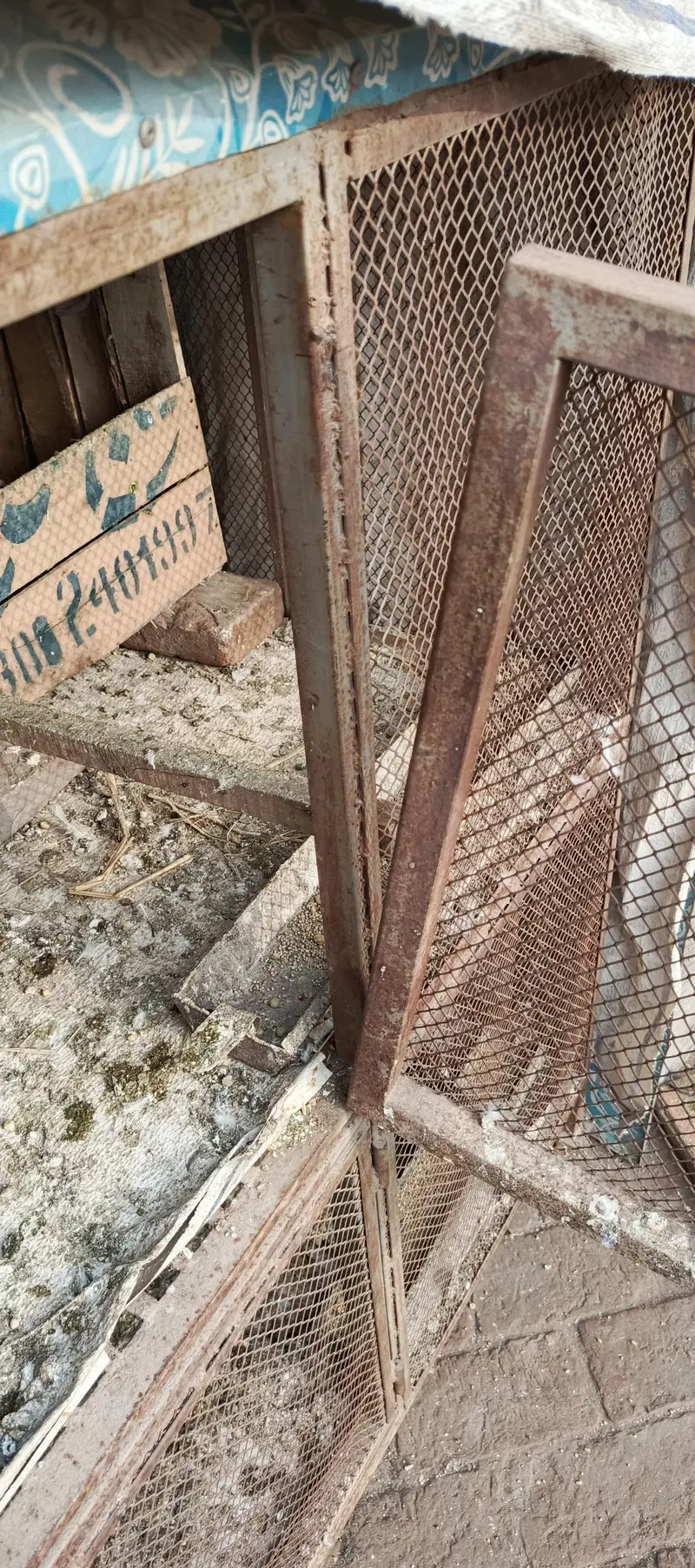Double portion iron cage — photo 5