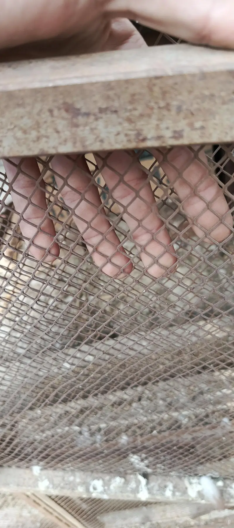 Double portion iron cage — photo 7