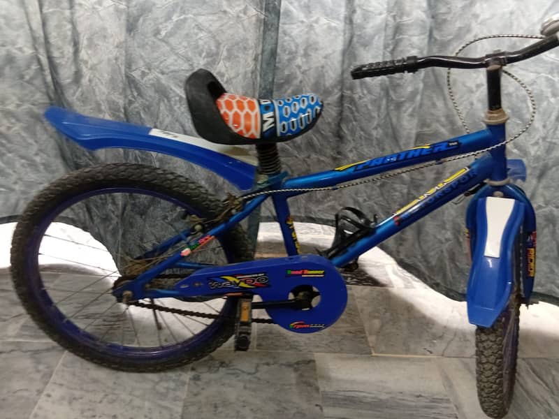 BICYCLE SIZE 20 0