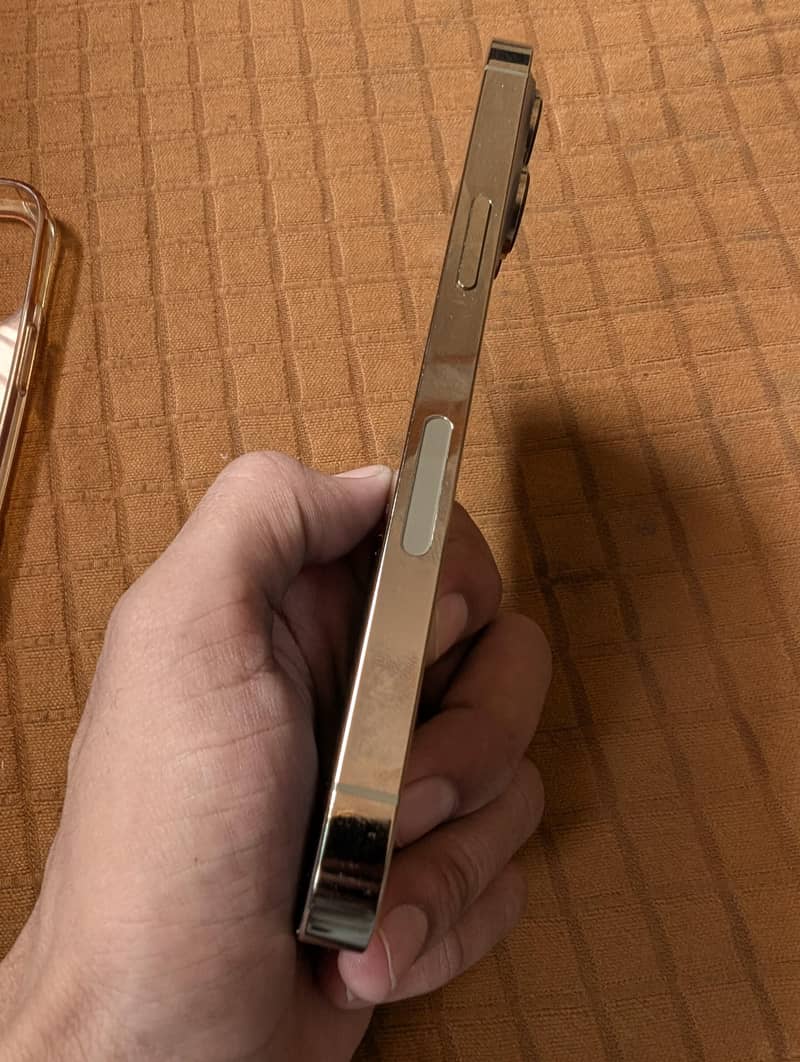 Apple iPhone 13 Pro 1