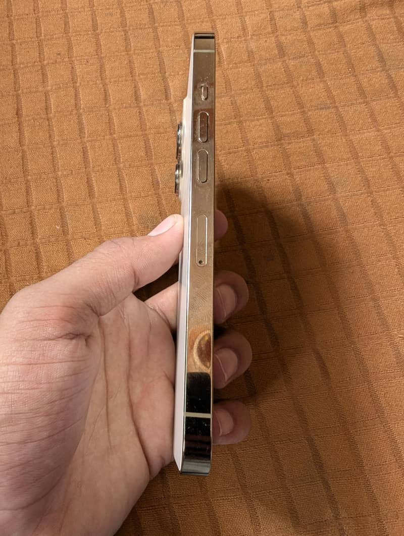 Apple iPhone 13 Pro 2