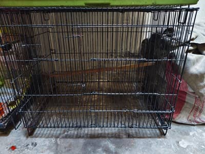 2 breeding cage for sale 1 cage without tray