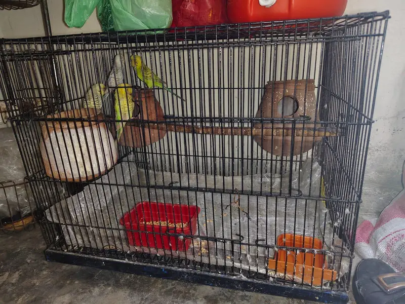 2 breeding cage for sale 1 cage without tray — photo 2