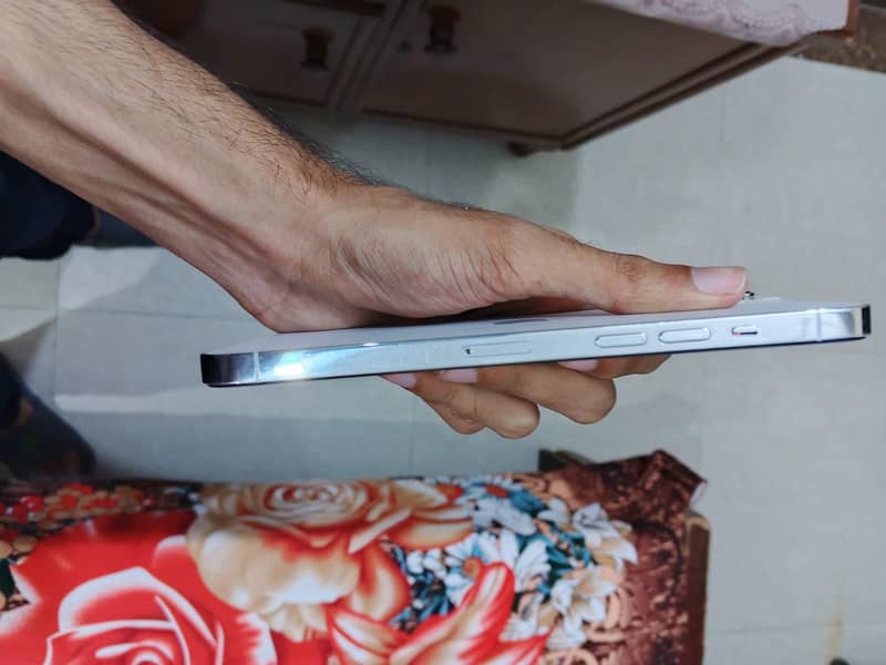 Apple iPhone 12 Pro Max 3