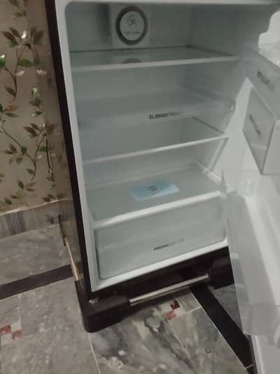 Haier medium size refrigerator glass door