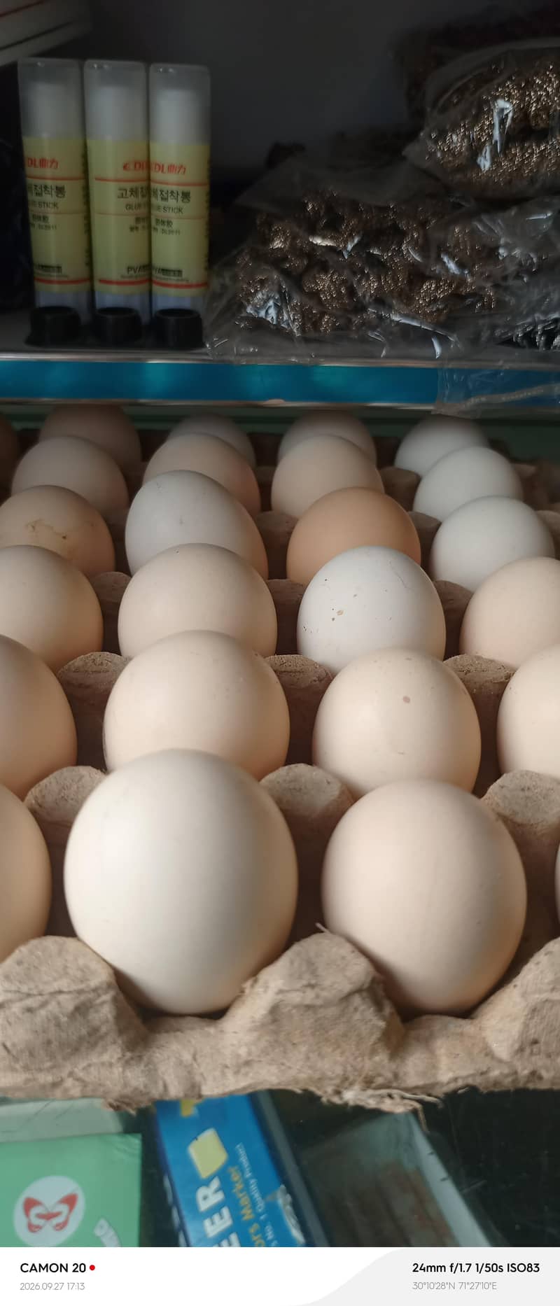 desi egg 2