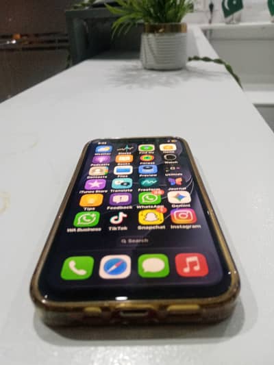 Apple iPhone 12 mini