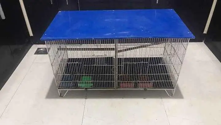 birds caged — photo 3