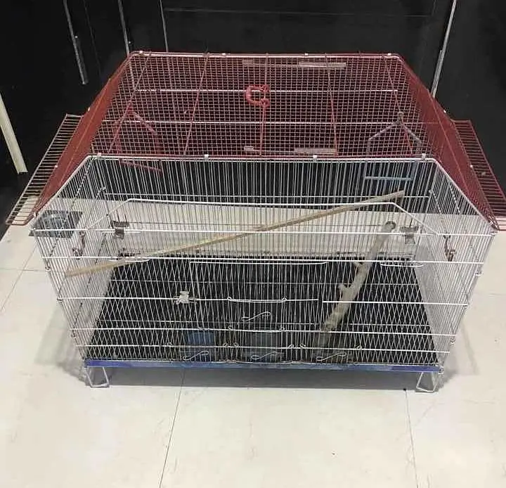 birds caged — photo 5