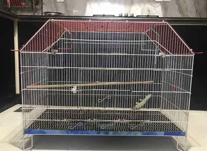 birds caged — photo 7