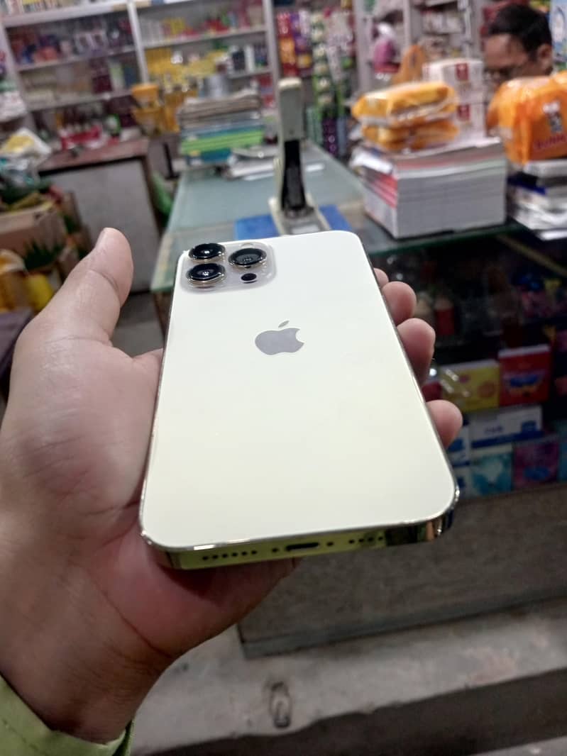 Apple iPhone 13 Pro Max 1