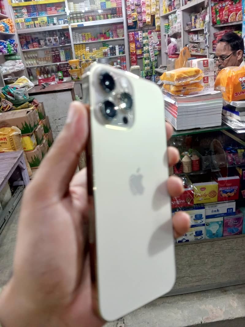 Apple iPhone 13 Pro Max 2
