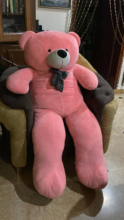 Huge size Pink Teddy Bear For sale