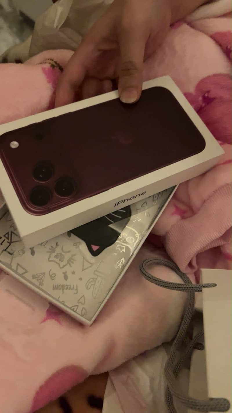 Apple iPhone 18 Pro Max 0