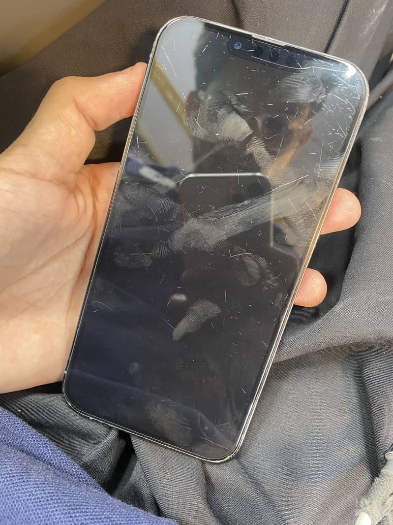 Apple iPhone 13 Pro Max 1