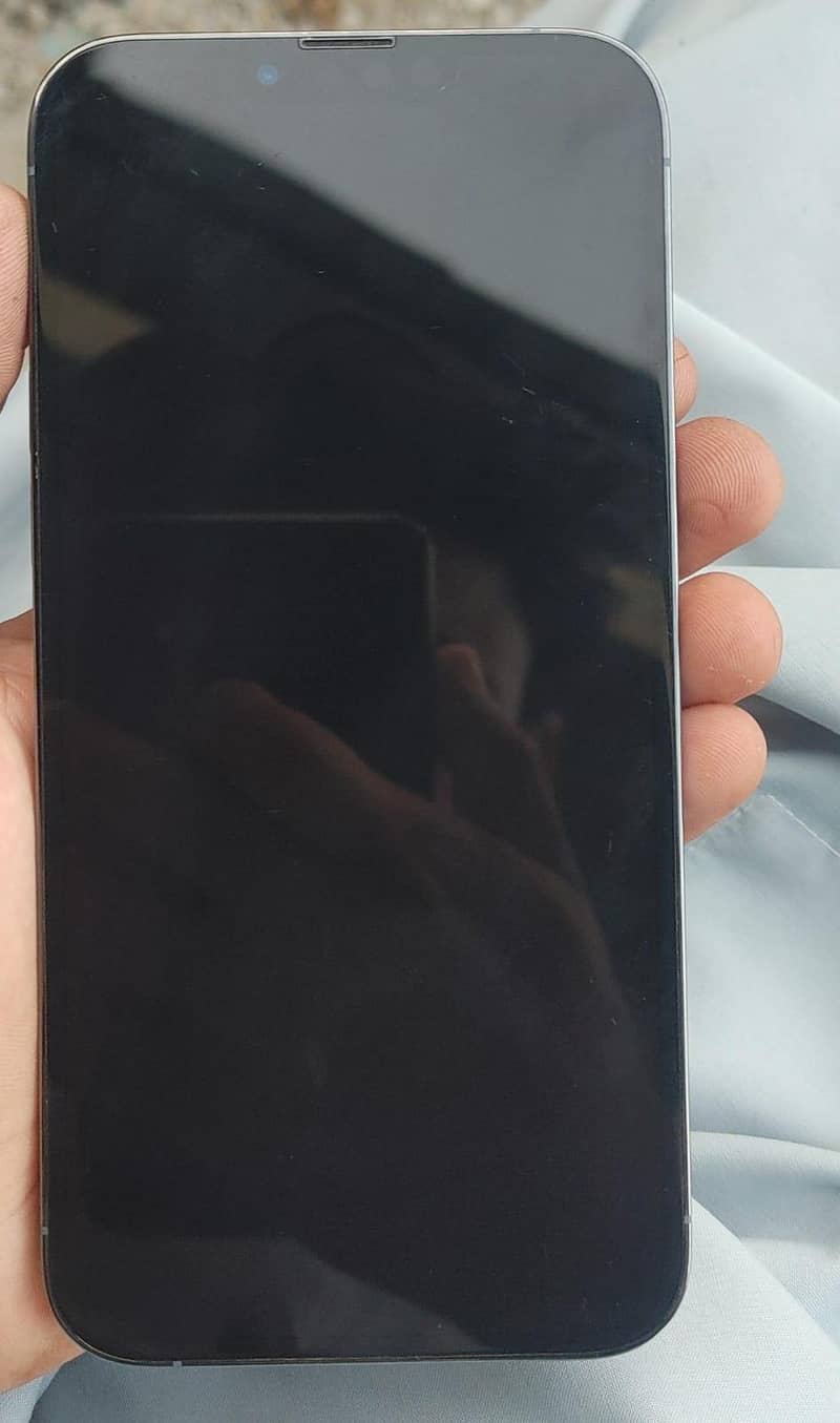Apple iPhone 13 Pro Max 0