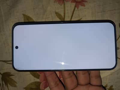 Google Pixel 10 Pro XL