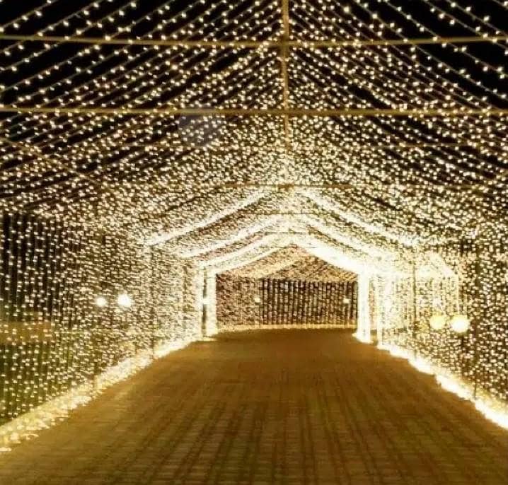 wedding lighting decoration/mehndi decor/flower decor/dj rental/mashri 10