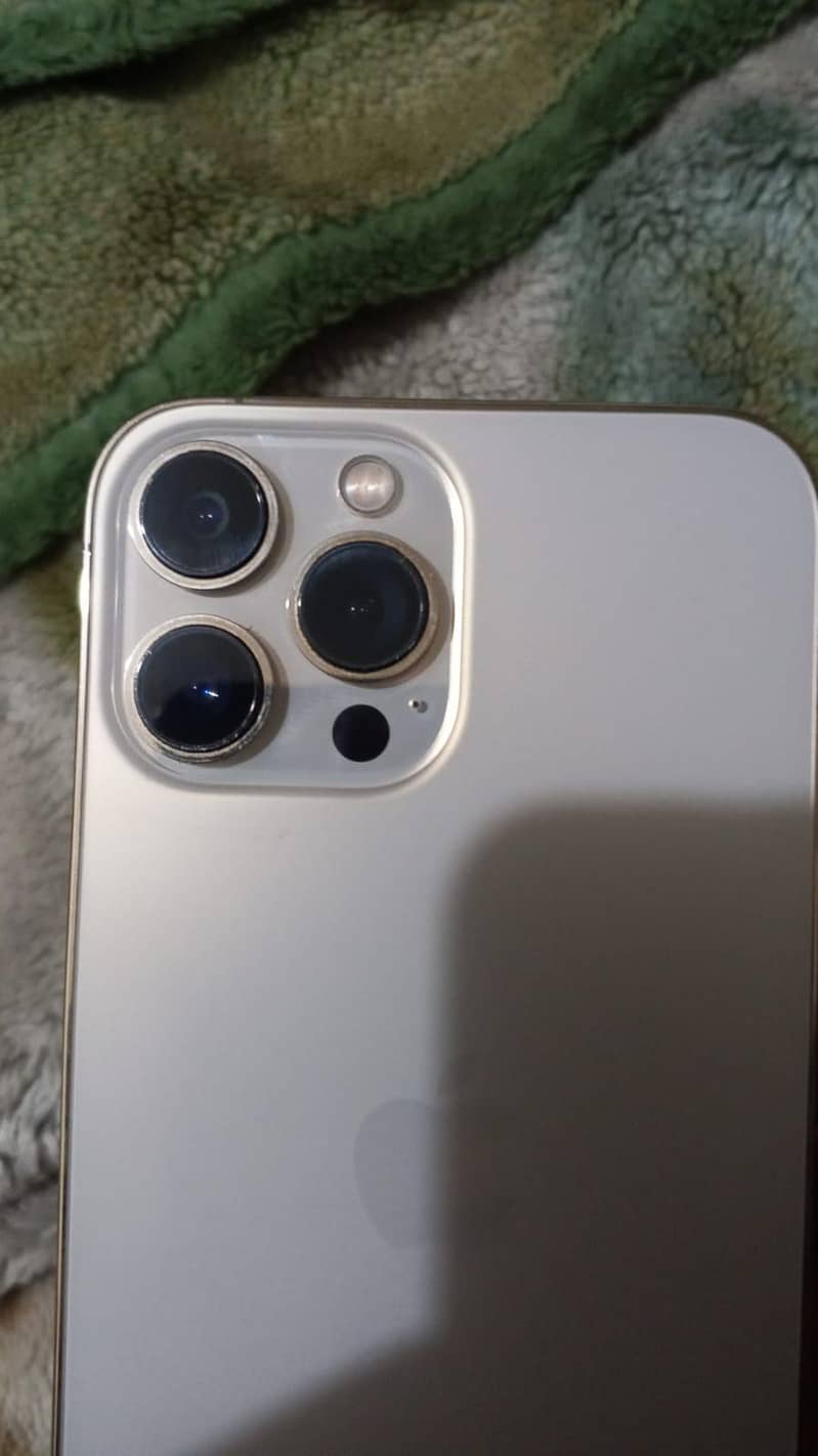 Apple iPhone 13 Pro Max 1