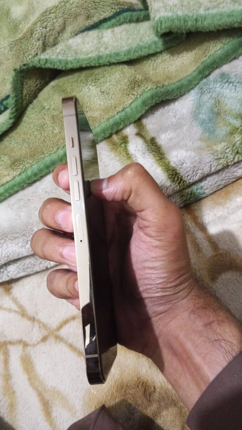 Apple iPhone 13 Pro Max 2