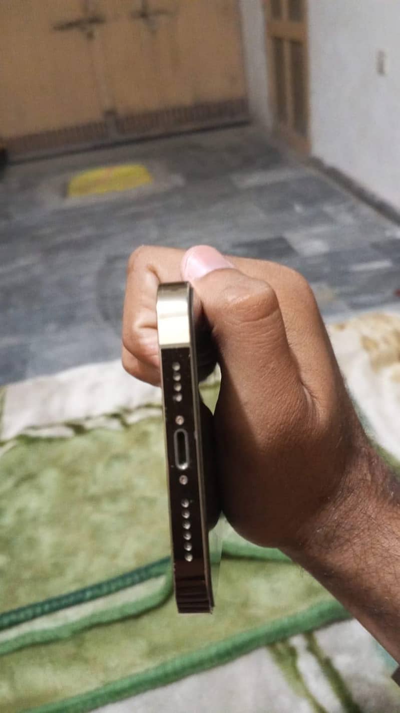 Apple iPhone 13 Pro Max 3