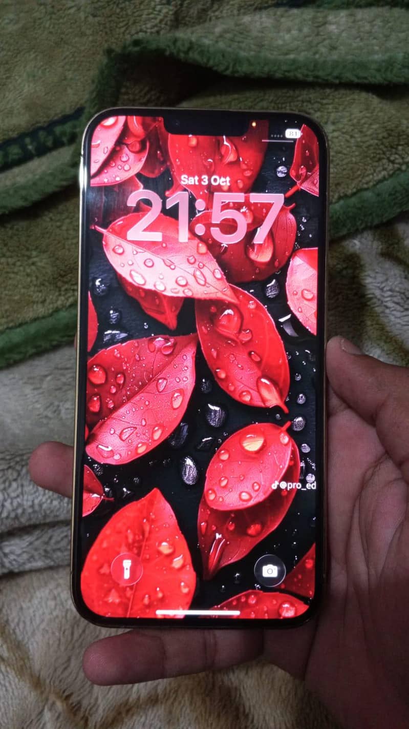 Apple iPhone 13 Pro Max 4