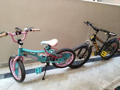 two bicycles for sell
