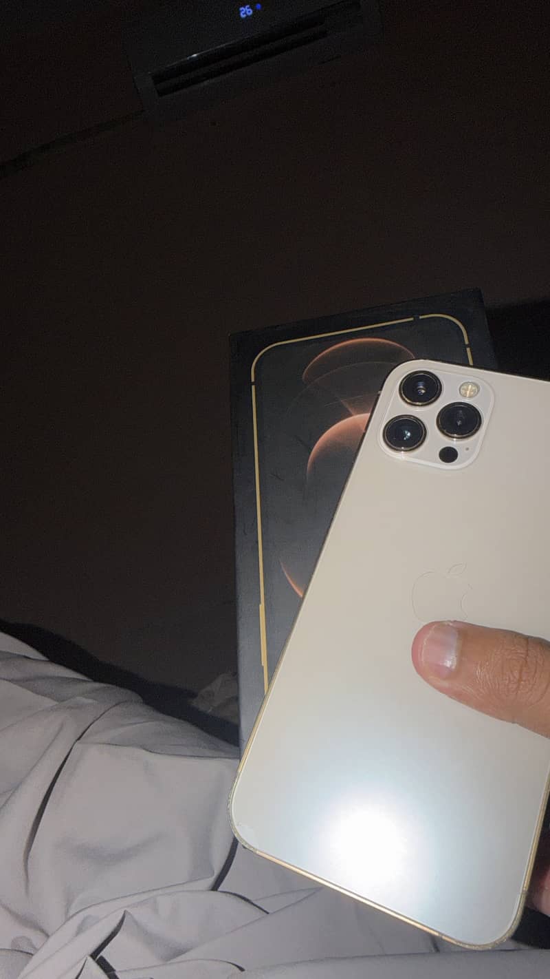 Apple iPhone 12 Pro Max 0