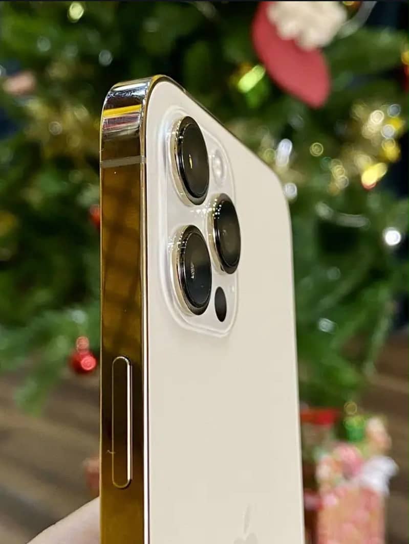 Apple iPhone 12 Pro Max 2