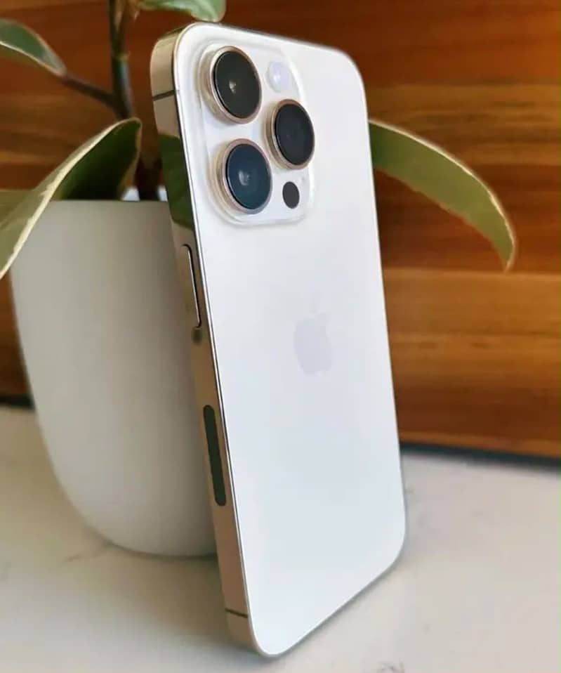 Apple iPhone 12 Pro Max 4