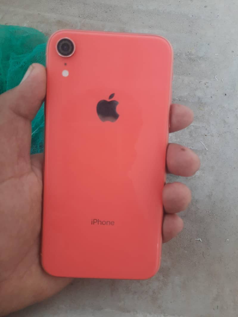 Apple iPhone XR 1