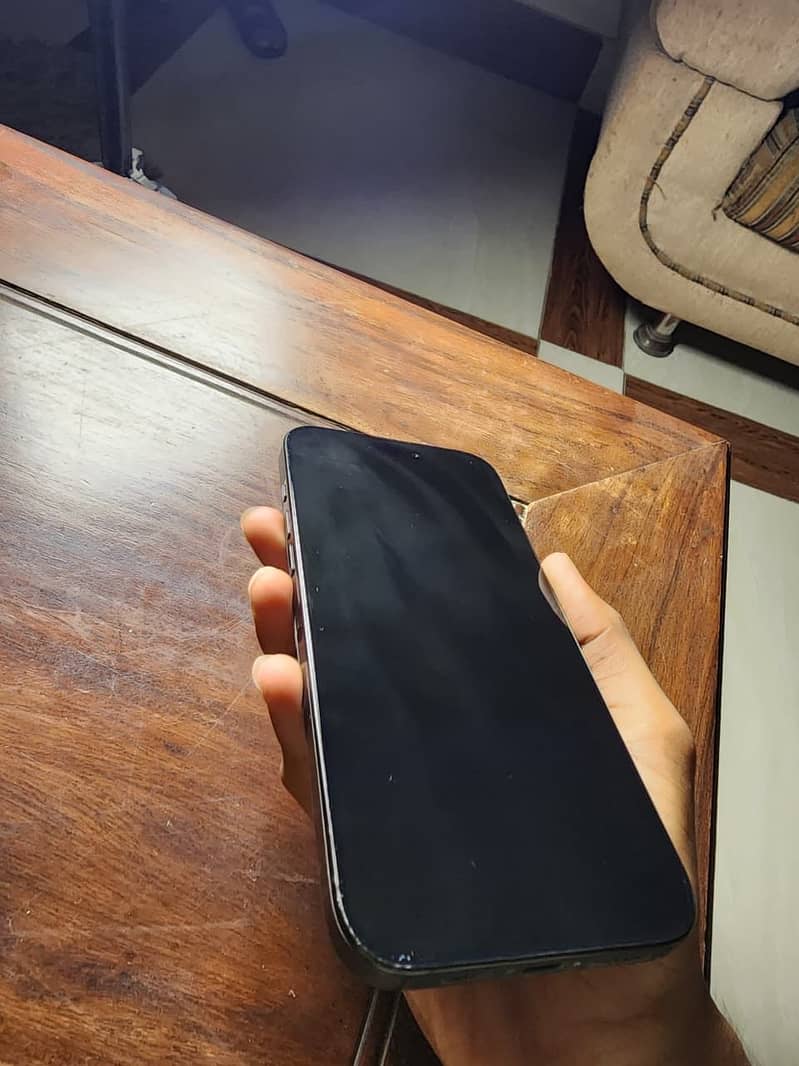Apple iPhone 16 Pro Max 1