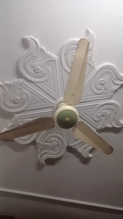 Beautiful Ceiling Fan – Good Condition