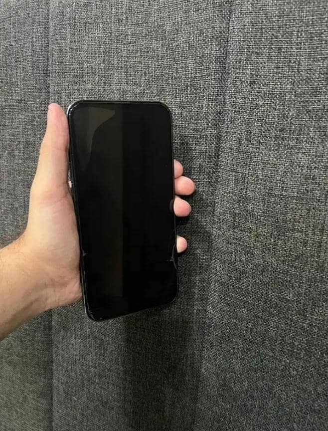 Apple iPhone 13 Pro Max 1