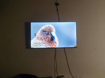 43 inch xiaomi LED Google tv