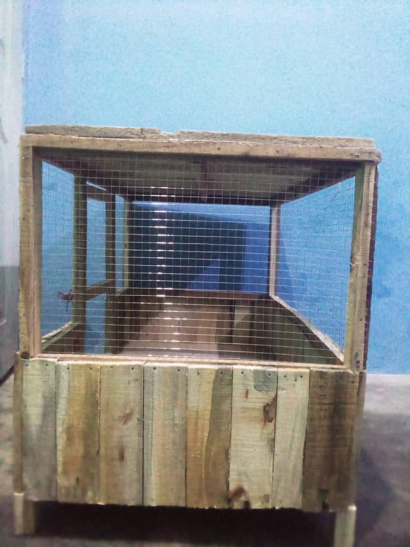 hen's cage 1