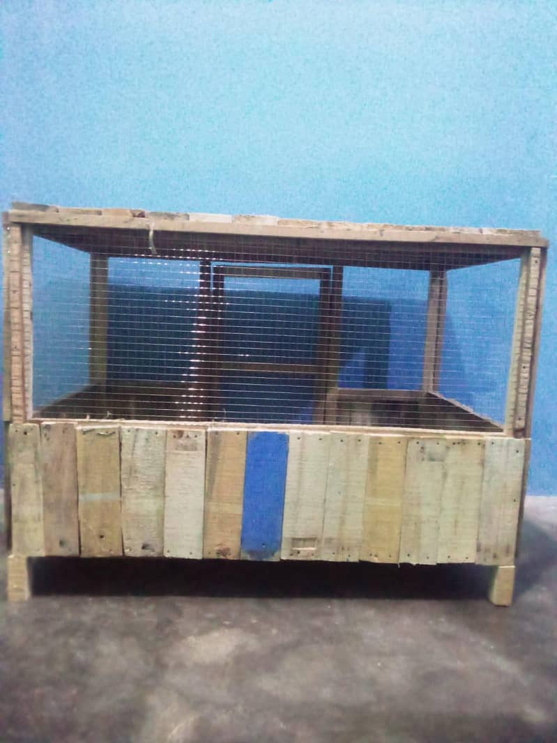 hen's cage 2