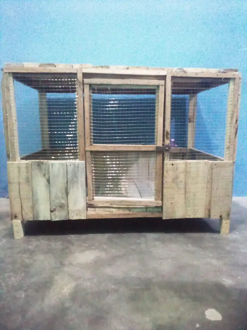hen's cage — photo 4