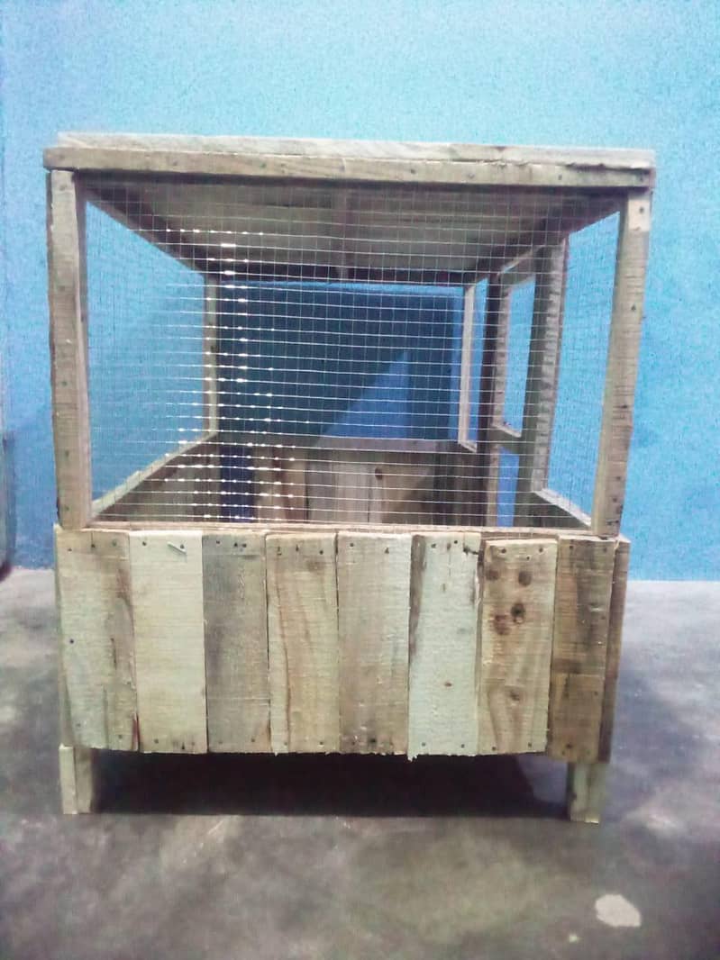 hen's cage 4