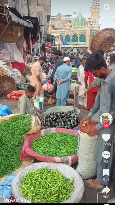 سبزی کے کاروبار کے لیے پارٹنر درکار