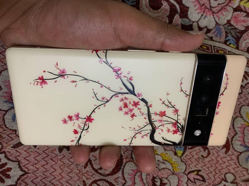 Pixel 6 Pro o3137oo6344 3